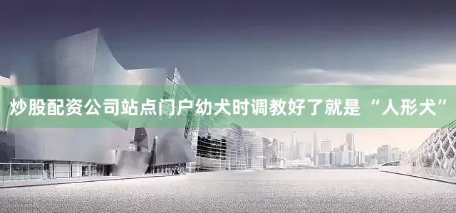 炒股配资公司站点门户幼犬时调教好了就是 “人形犬”