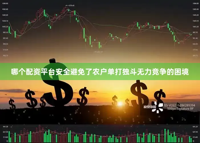 哪个配资平台安全避免了农户单打独斗无力竞争的困境