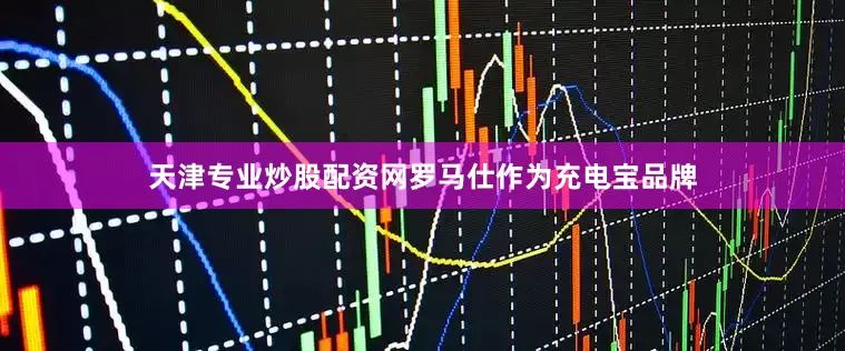 天津专业炒股配资网罗马仕作为充电宝品牌