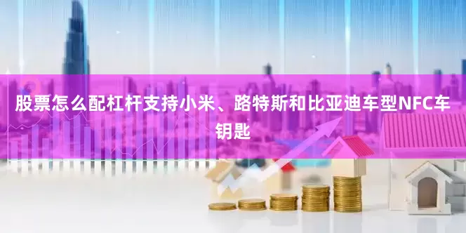 股票怎么配杠杆支持小米、路特斯和比亚迪车型NFC车钥匙